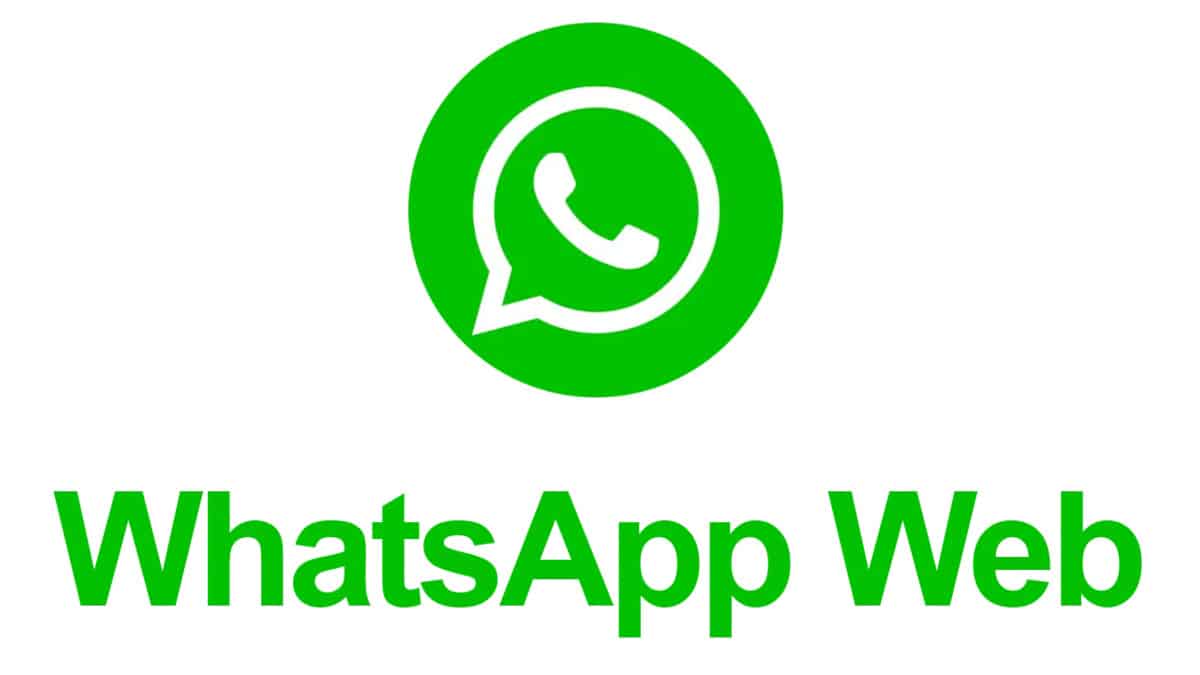 Get New Zealand area codes and phone numbers in one click! Analyze WhatsApp user activity to optimize your social media strategy.